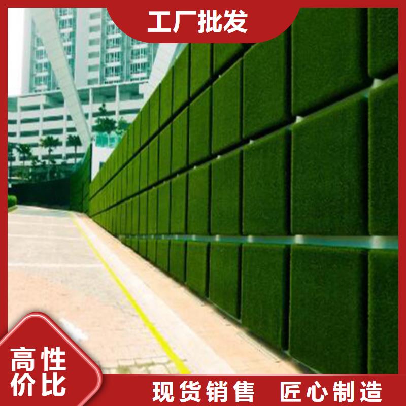 围挡草坪人工草坪围挡品质过硬