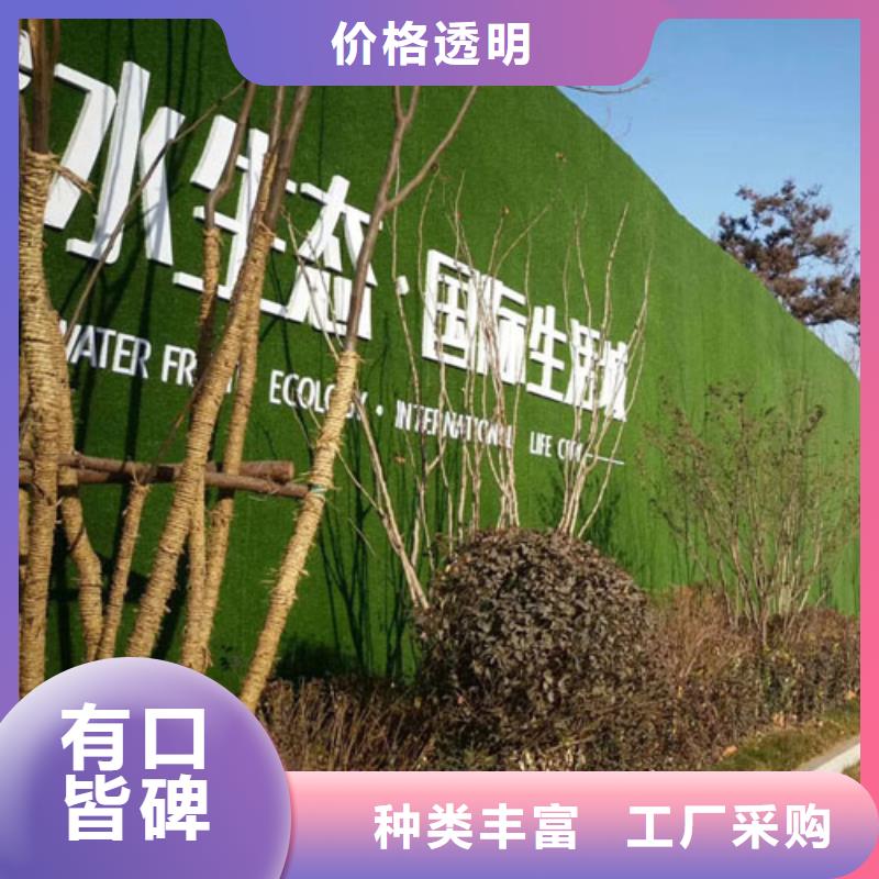 人工草坪围挡-视频-人工草坪围挡|辽宁省阜新市|太平|细河|丹东|鞍山|锦州|本溪|盘锦|铁岭|大连