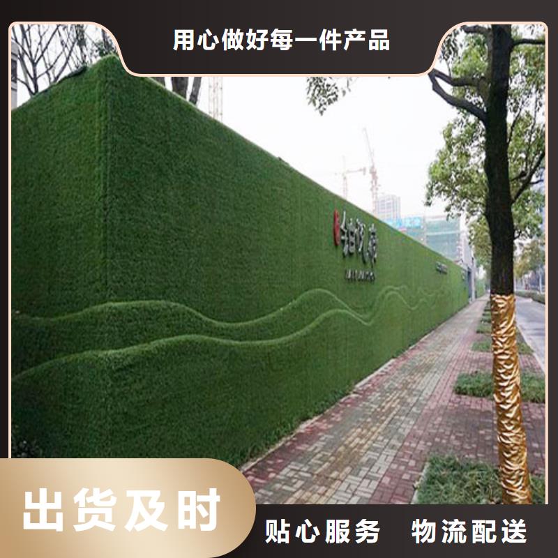 围挡草坪-人造草坪围挡价格有优势