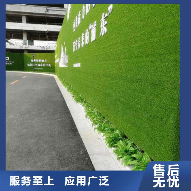 人工草坪围挡-视频-润州|扬中|苏州|常州|盐城|淮安|徐州|扬州人工草坪围挡制造生产销售-博翔远人造草坪(镇江市分公司)