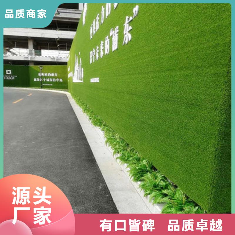 草坪围挡_围挡草坪生产经验丰富