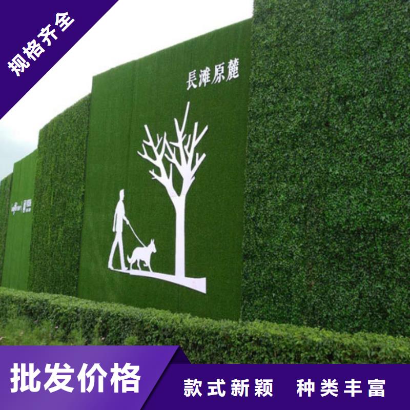 草坪围挡_围挡草坪现货