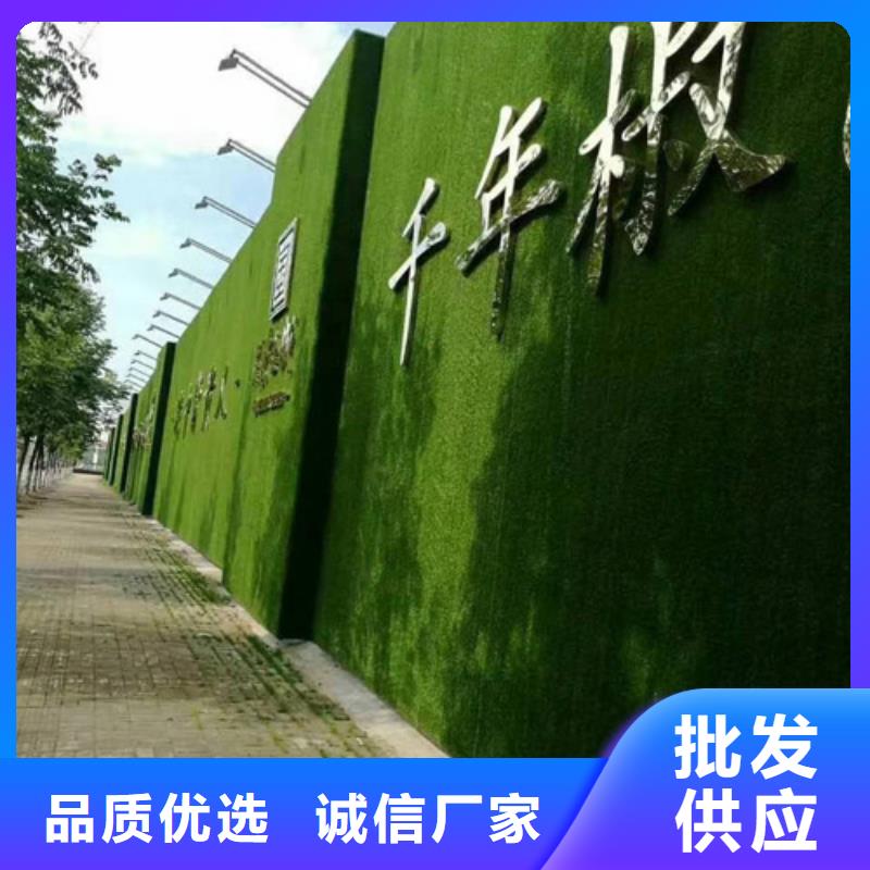 草坪围挡围挡草坪定制速度快工期短