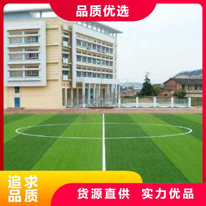 塑胶场地,攀岩墙搭建物流配送