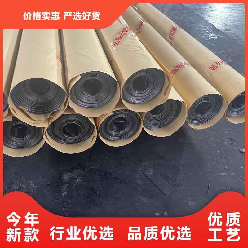DR室铅门-视频-DR室铅门-全胜辐射防护工程(金昌市分公司)服务区域张掖|平凉|陇南|白银