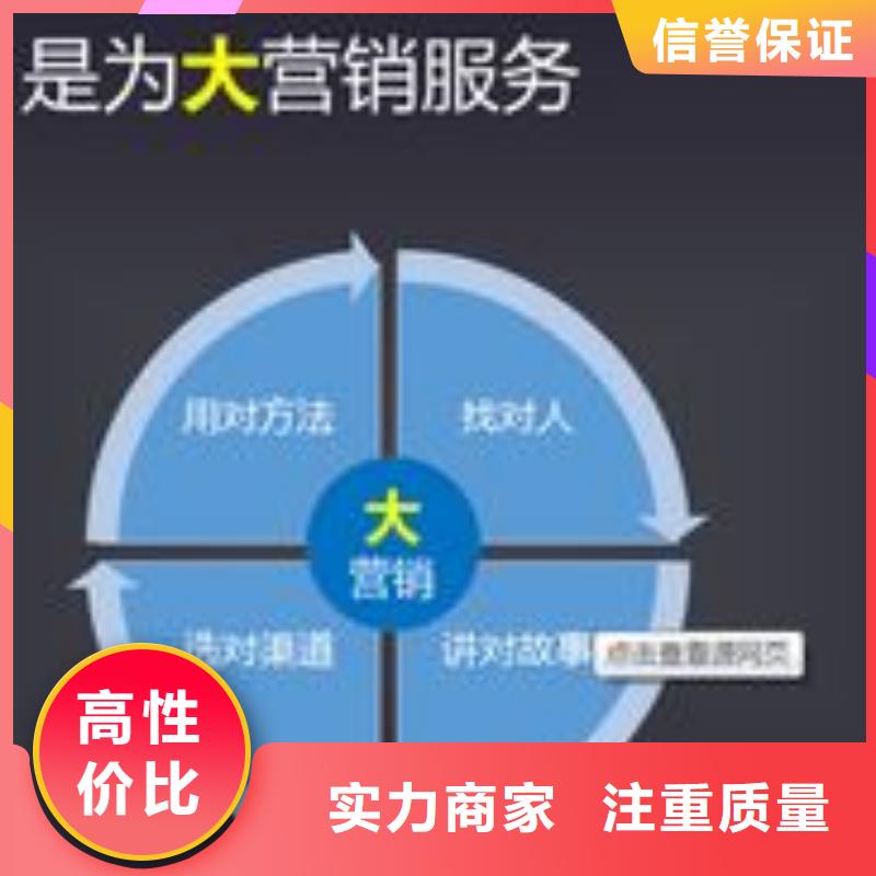 【马云网络】-网络广告解决方案