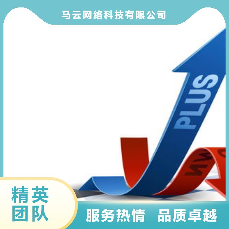 马云网络网络公司案例丰富