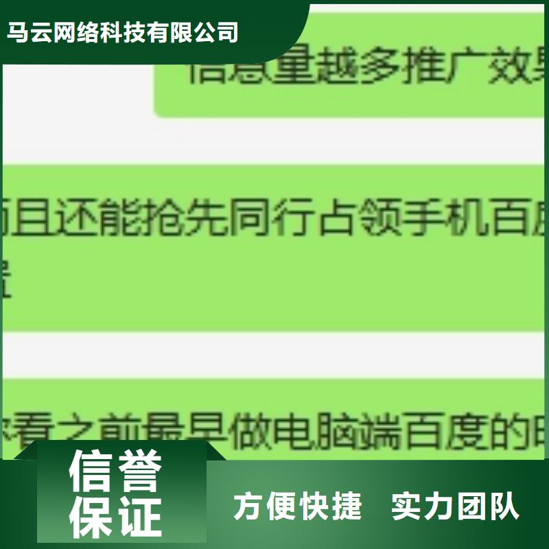 手机自媒体运营实力团队