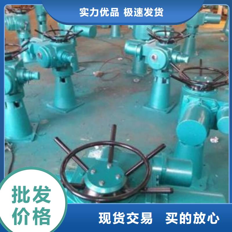 启闭机启闭机皮带轮客户信赖的厂家