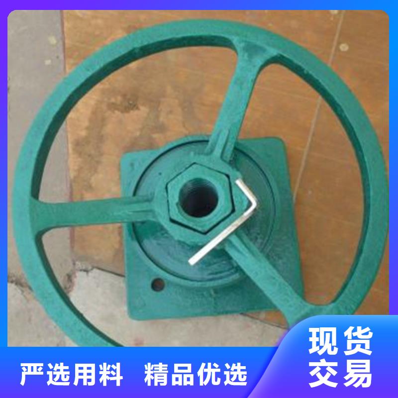  启闭机品种全