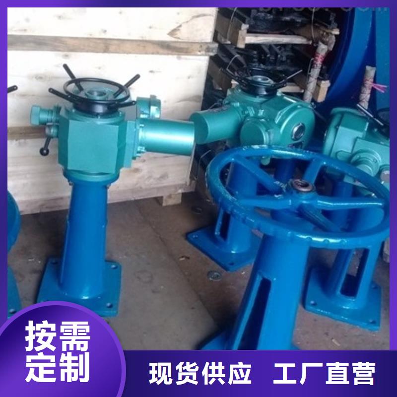 启闭机-手电螺杆启闭机随心所欲定制