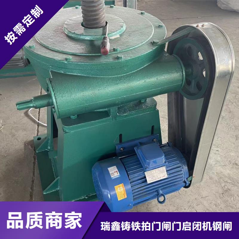  启闭机定制定做