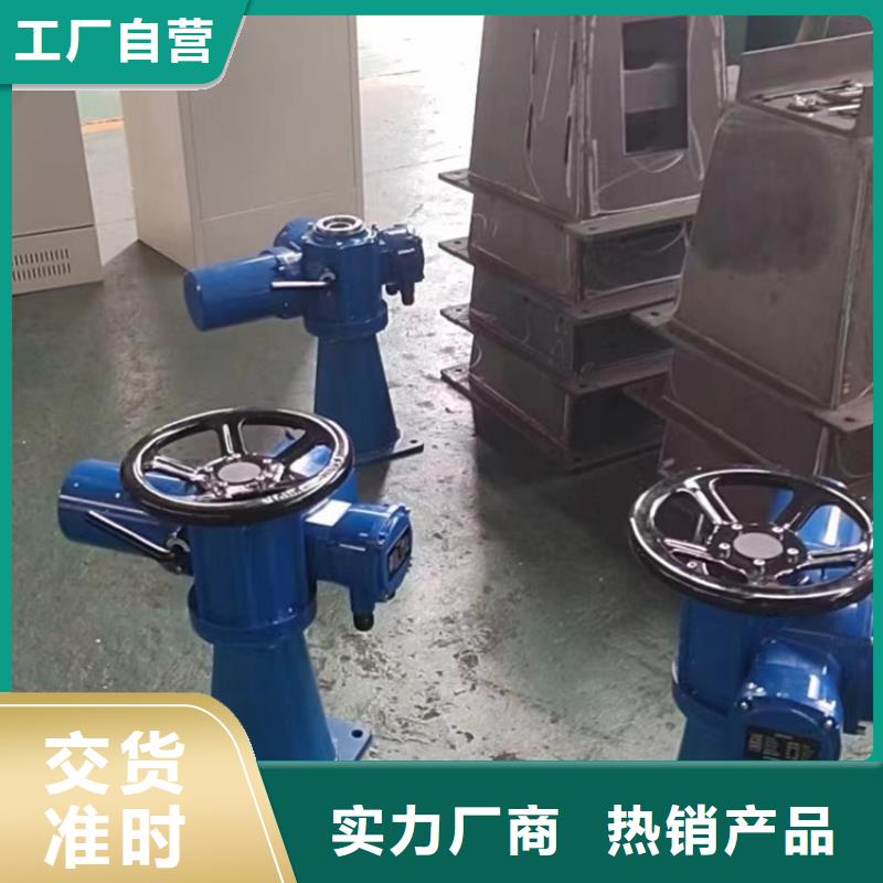 启闭机,LQ-2x150KN-SD螺杆式手电两用启闭机性价比高