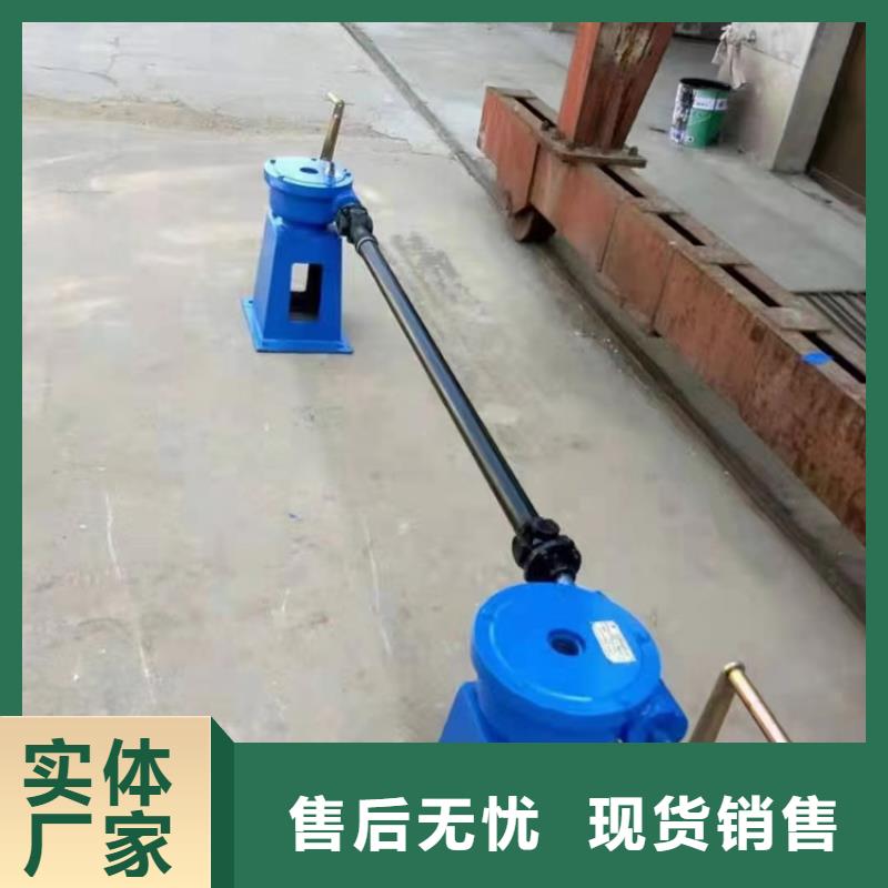 启闭机N年专注