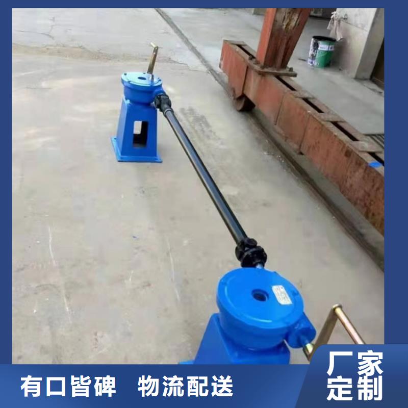 启闭机双吊点手电两用启闭机产地直供