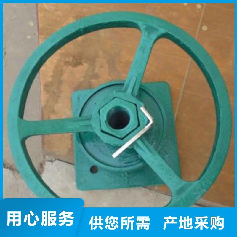 启闭机就近发货