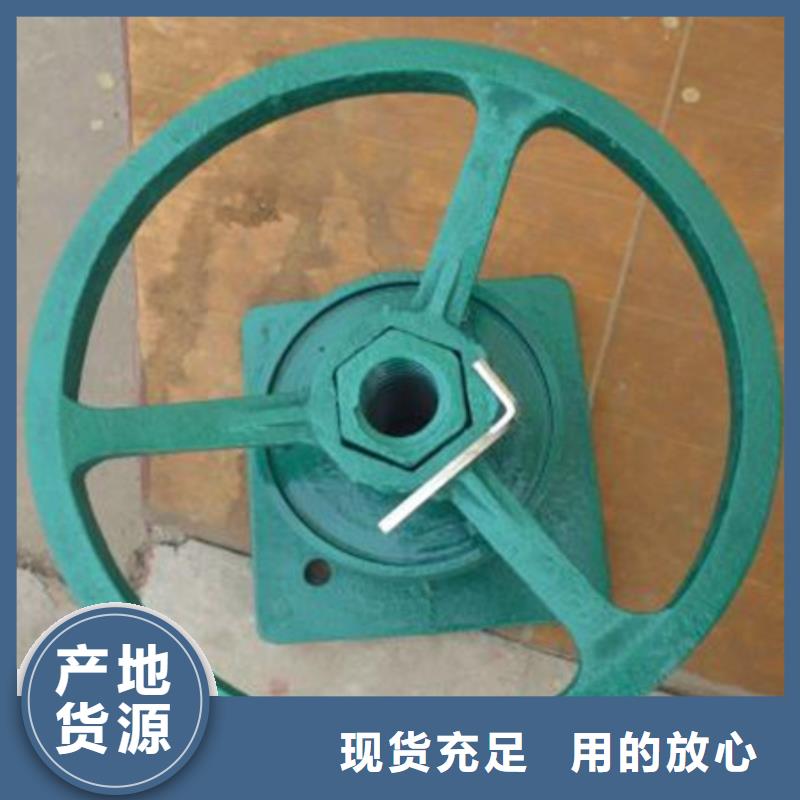 启闭机景观钢坝闸门 工厂直供