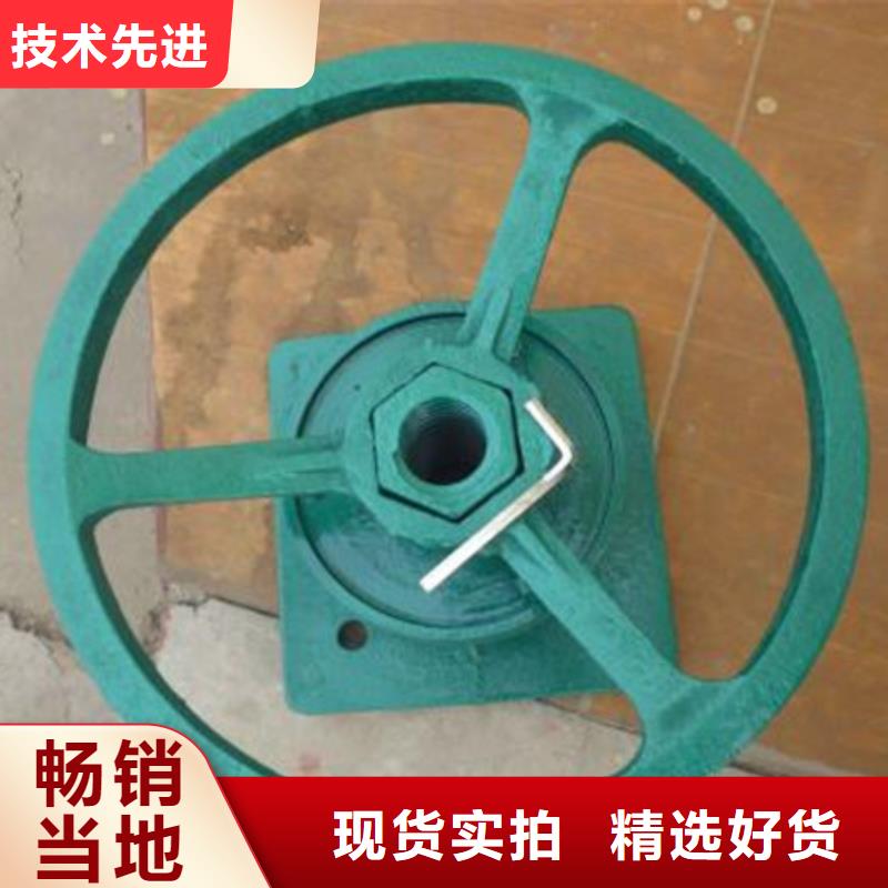 铸铁闸门-视频-铸铁闸门(瑞鑫)覆盖地域甘肃省临夏市广河|和政|天水|定西|陇南|嘉峪关|庆阳|白银|武威