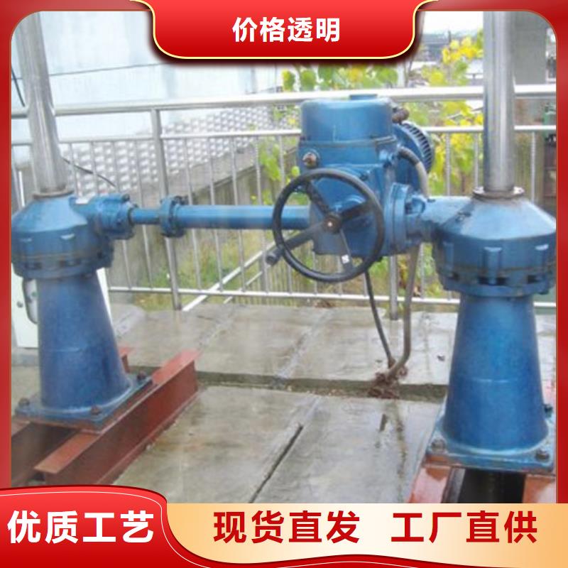 启闭机QL-80KN-SY手摇式螺杆启闭机通过检测