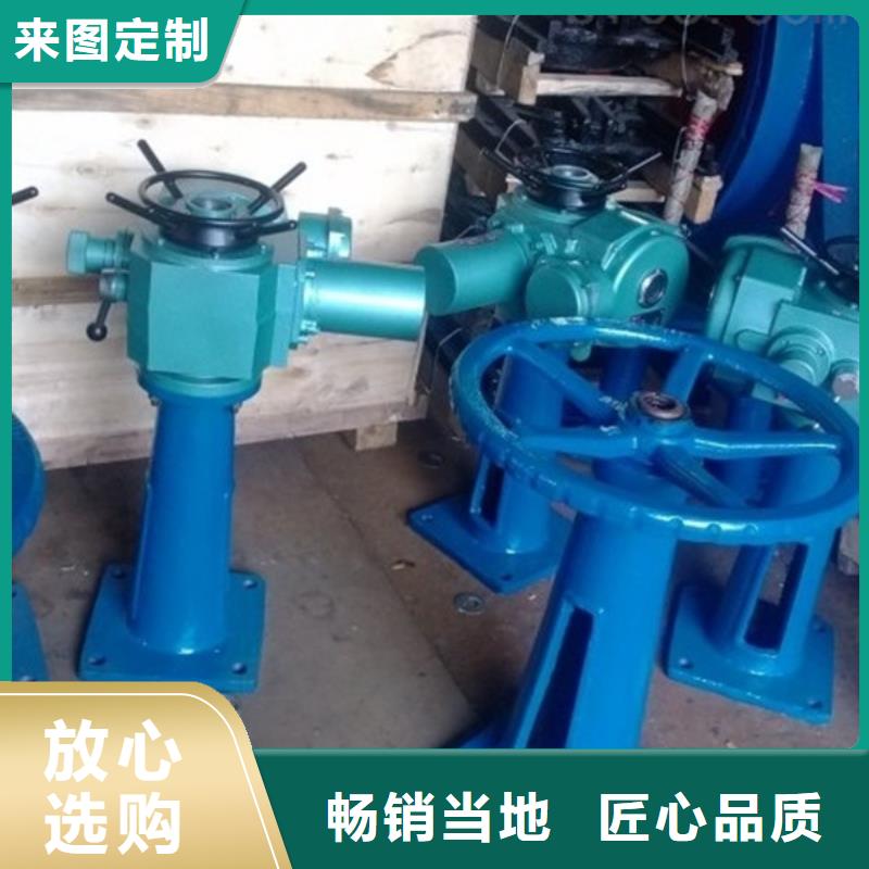 启闭机5T直连式启闭机厂家经验丰富