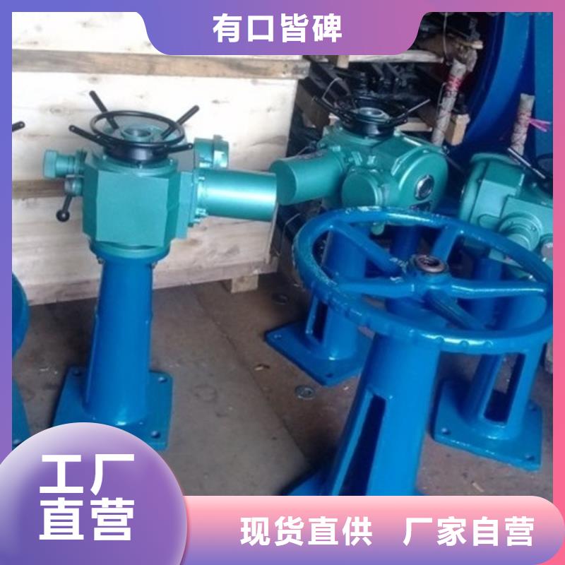 启闭机-启闭机皮带轮支持非标定制