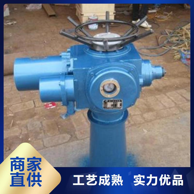 启闭机_QL型手电两用双吊点启闭机一站式服务