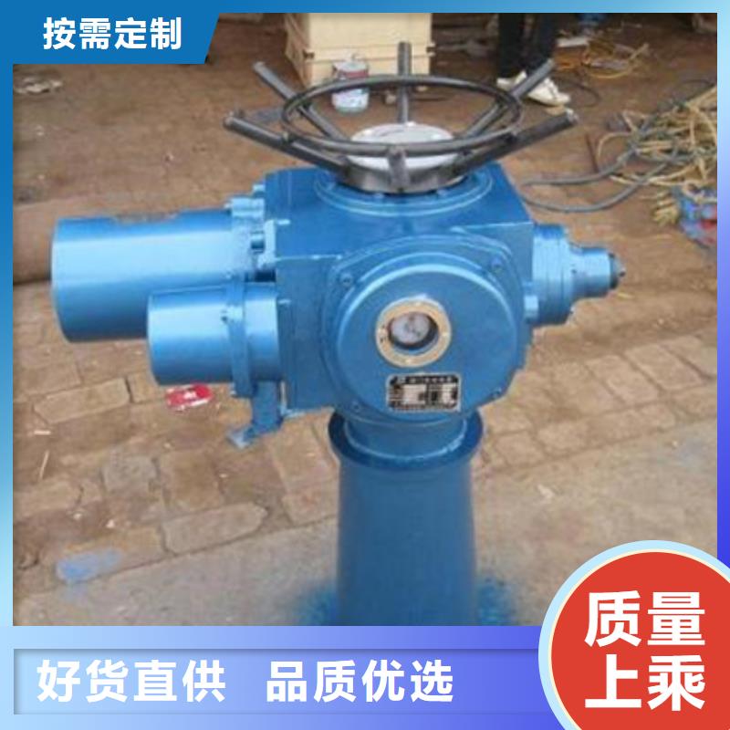 启闭机手电两用启闭机多年行业经验