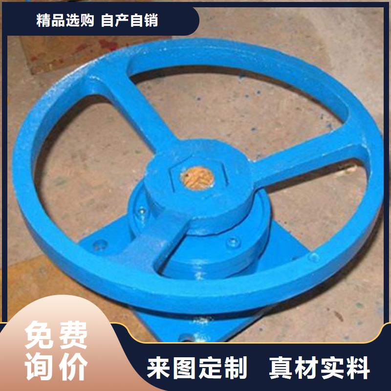 启闭机_QL型手电两用双吊点启闭机一站式服务