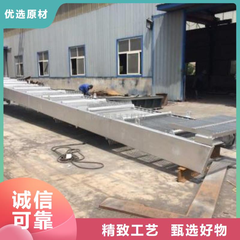 链条式耙齿格栅清污机