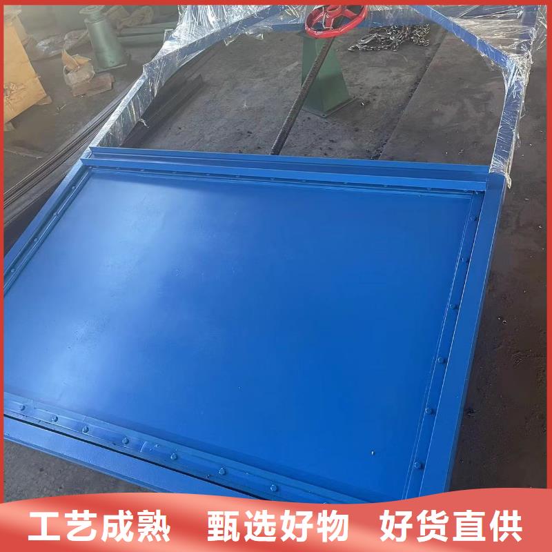  钢闸门诚信厂家