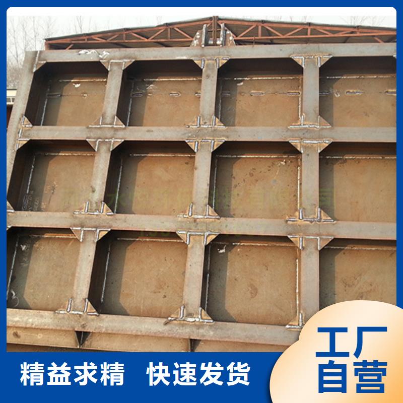 钢闸门-液压式启闭机生产安装