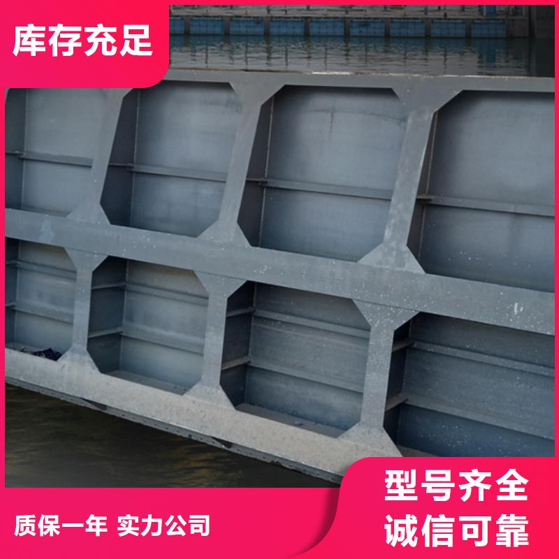 钢闸门钢制钢坝闸门多年实力厂家