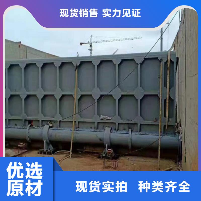 钢闸门-液压式启闭机生产安装