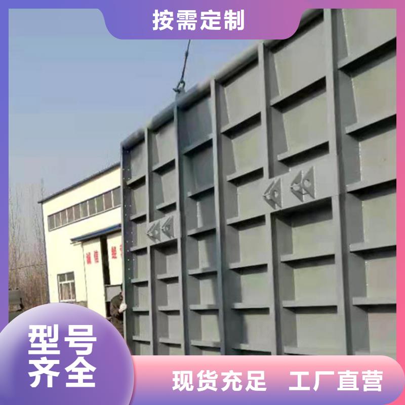 钢闸门液压集成启闭机加工定制