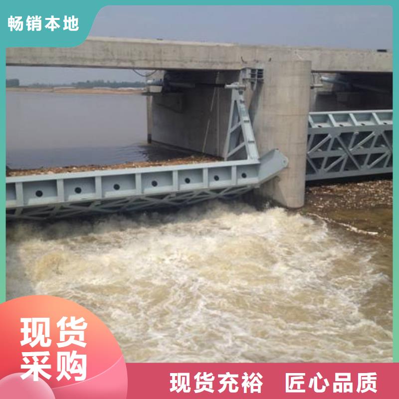 钢闸门-液压式启闭机生产安装