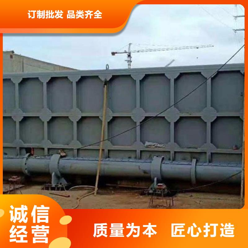 钢闸门专注细节使用放心