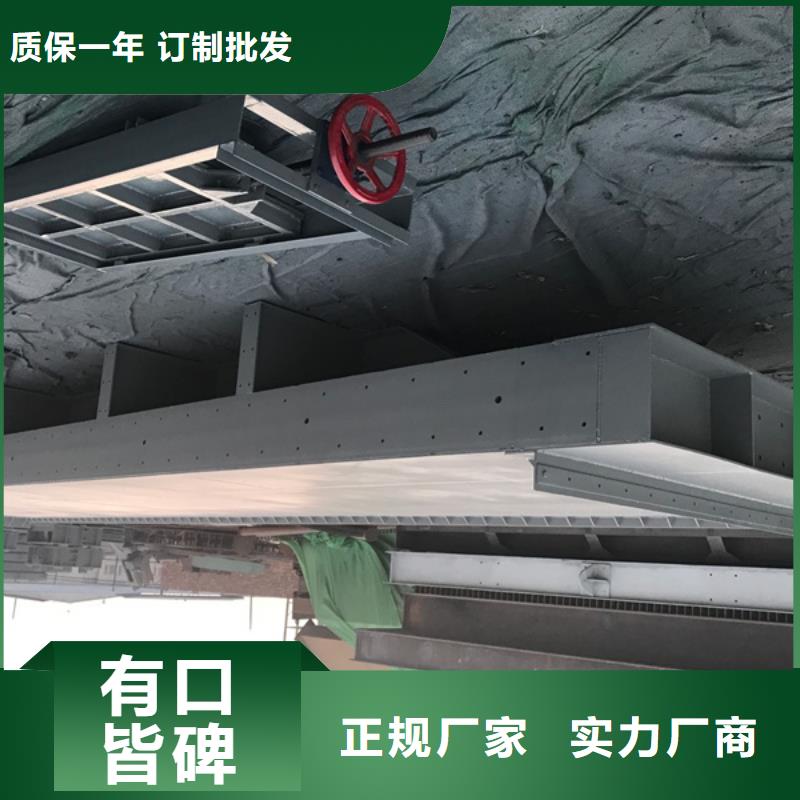 钢闸门,卷扬启闭机多年实力厂家