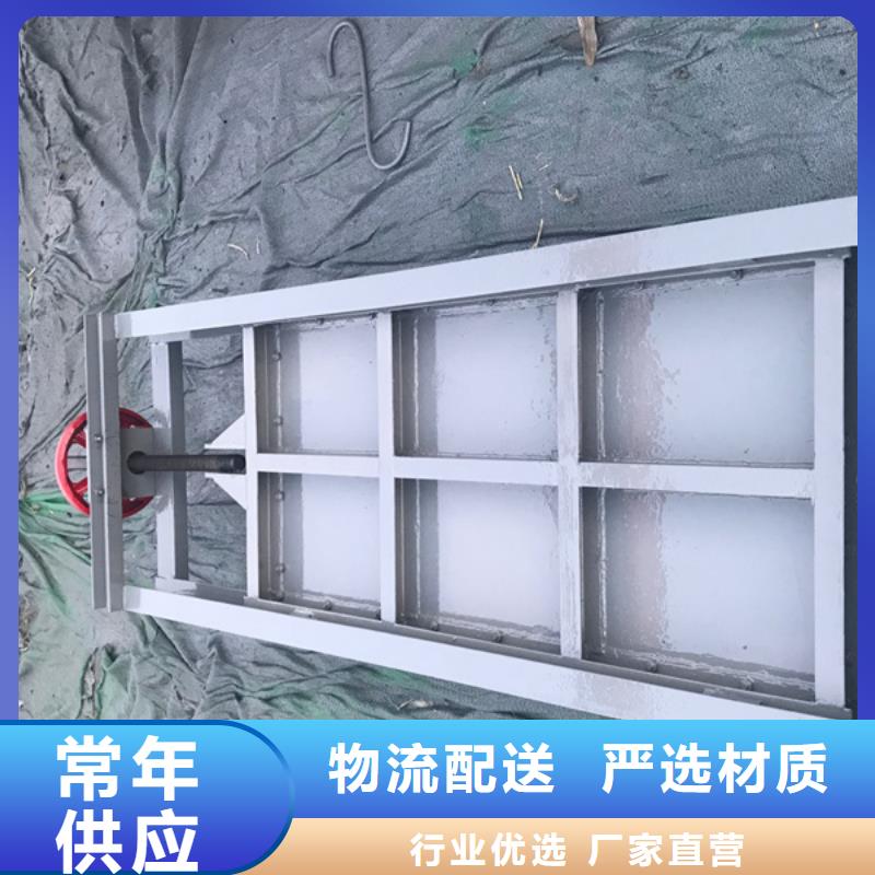  钢闸门支持定制