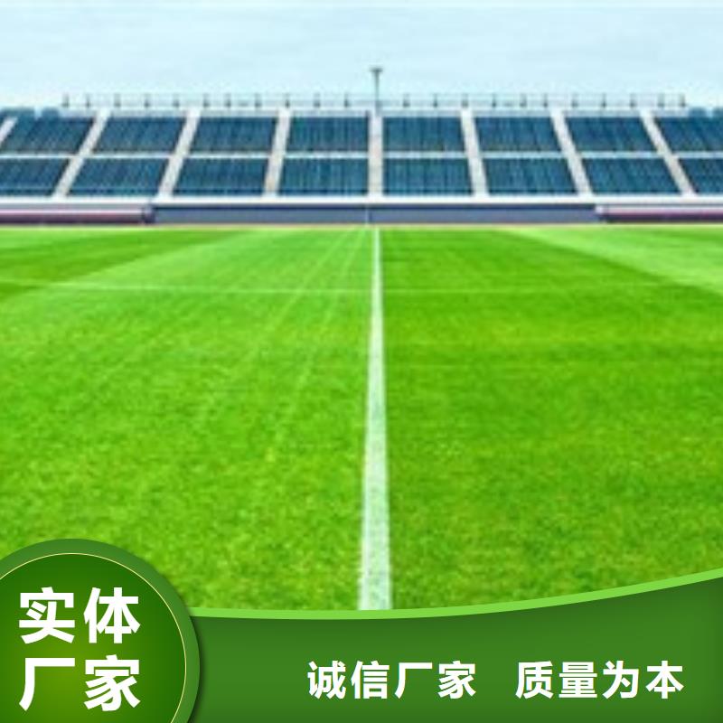 PVC塑胶地板视频-长洲|苍梧|防城港|贺州|崇左|钦州|北海|贵港中清思宇PVC塑胶地板_ 中清思宇科技(梧州市分公司)