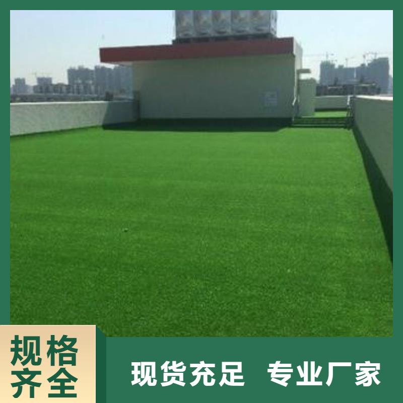 人造草坪_篮球场施工定制零售批发