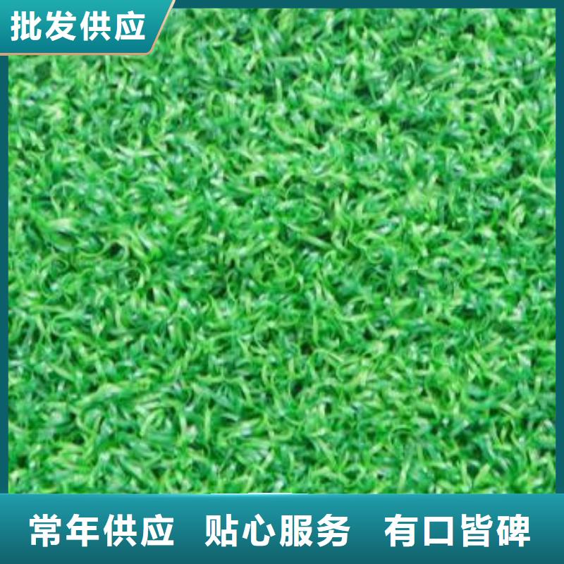 硅pu篮球场