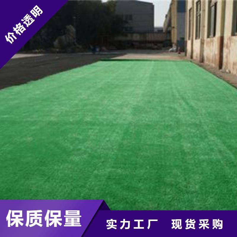 人造草坪_篮球场施工定制零售批发