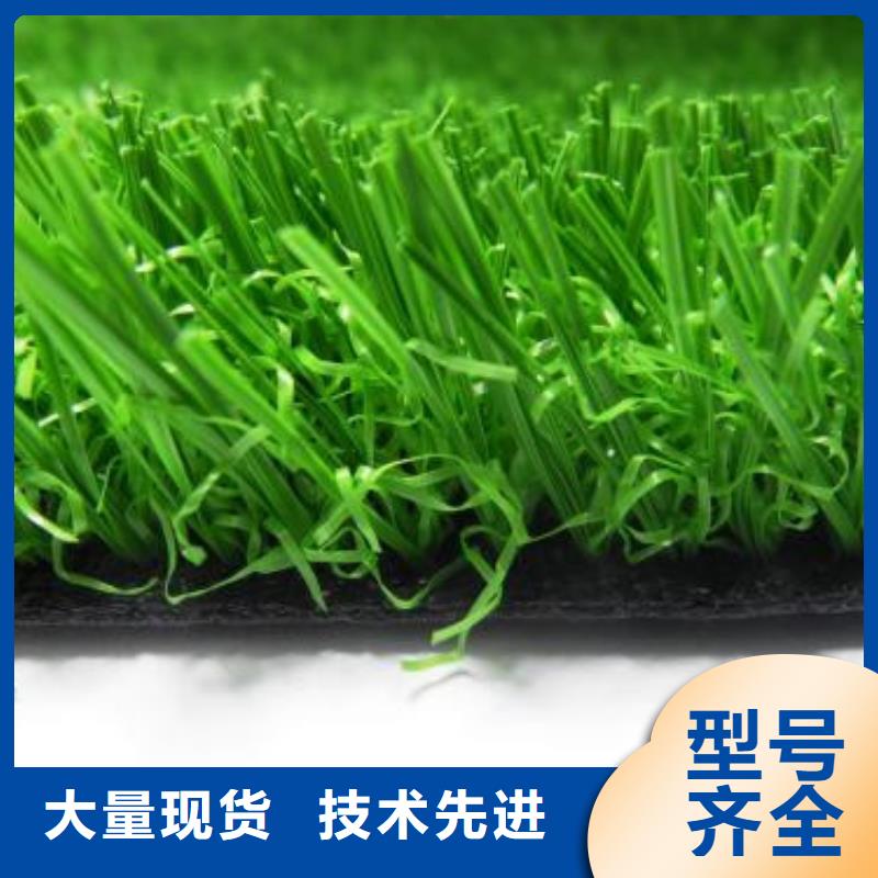 人造草坪_防静电地板详细参数