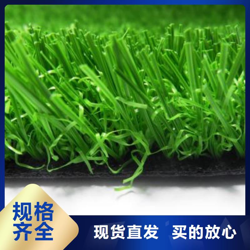 人造草坪塑胶跑道定金锁价