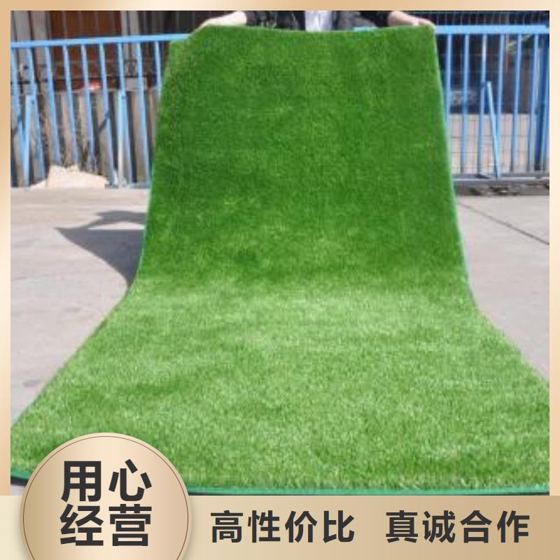 人造草坪同质透心地材可零售可批发