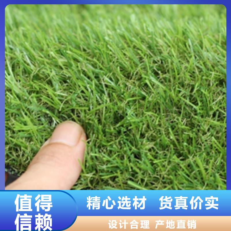 人造草坪塑胶跑道定金锁价