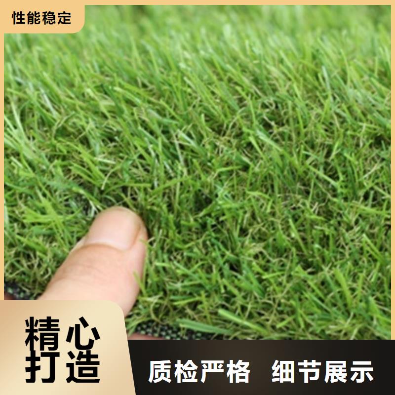 人造草坪,同质透心地材厂家技术完善