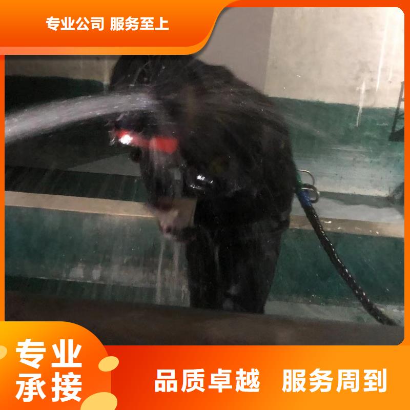 水下安装本地便民服务