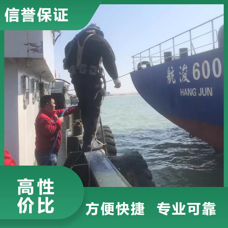 选水下清理-实体厂家可定制