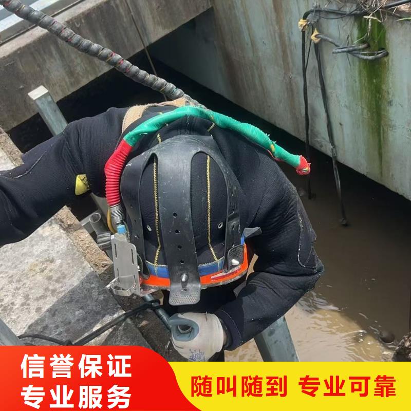 水下摄影用心、敬业